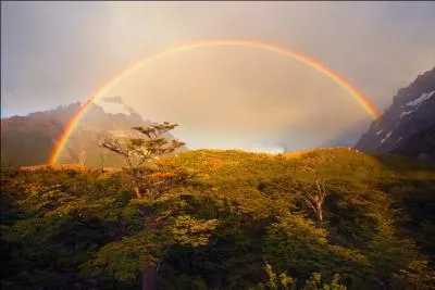 Bouteille de champagne ou héros télévisé !