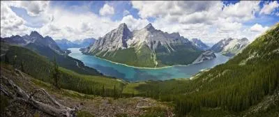 Exploitation de sériciculture !