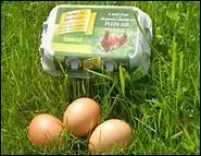 Les ufs extra-frais ont une date de ponte qui ne dépasse pas 15 jours.