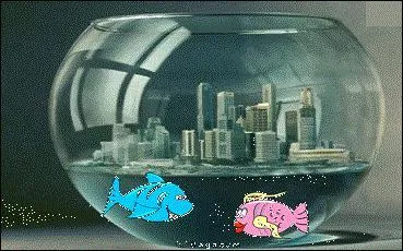 Pour vivre de façon insouciante à quoi faut-il ajouter l'eau fraîche ?