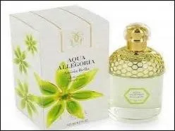 Voilà une eau fraîche à la fragrance anisée. Qui est le parfumeur ?