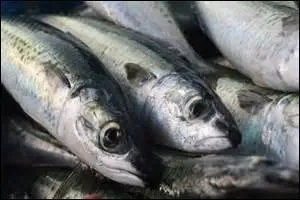 À quoi reconnaissez-vous le poisson frais ?