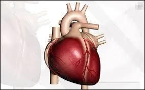 Quel est l'intérêt d'une telle disposition ? Ne cherchez pas loin.