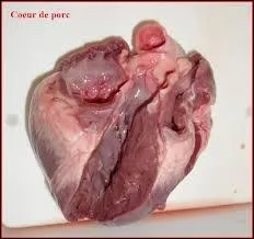 Où le sang se recharge-t-il en O2 ?