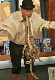 Comment appelle-t-on le spécialiste qui étudie les serpents ?