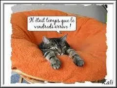 Le vendredi soir, il est interdit de diffuser des longs métrages sur les chaînes télévisées gratuites en France.