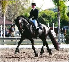 Pourquoi ne peut-il pas faire de grandes, dures et longues compétitions ?