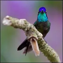 Système qui voit la résolution de la question sociale par la mise en commun, au profit de la collectivité, des différents moyens de production de la nation !