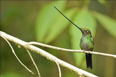 Grâce à lui vous y voyez plus clair !