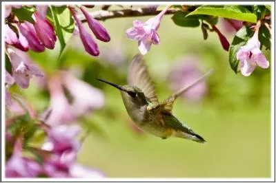 Pièce d'armure médiévale !