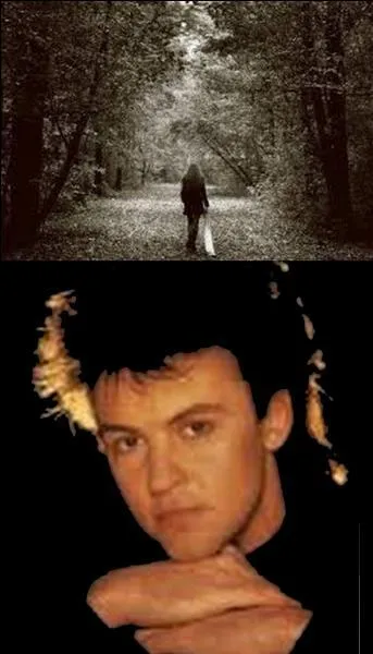 Quel est le titre de cette chanson ?