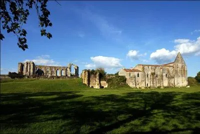 Quelle est cette abbaye vendéenne aujourd'hui en ruine qui accueillit Rabelais lorsqu'il fut chassé de Fontenay-le-Comte ?