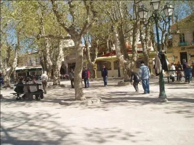 Quelle est cette place de Saint-Tropez, ombragée de platanes qui est le rendez-vous des joueurs de pétanque ?