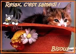 Qui a chanté "Samedi soir" ?