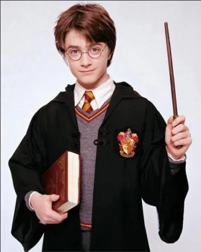 Combien y a-t-il d'Harry Potter ?