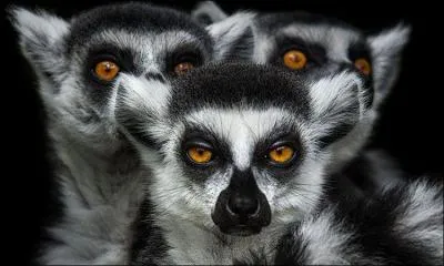 Suite à cette photo, quel film allez-vous voir ?