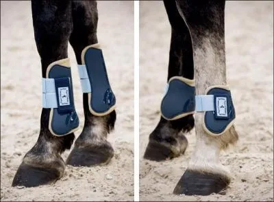 Qu'est-ce que c'est ?   