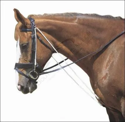 Comment appelle-t-on ce qui est présenté en blanc sur la photo ?