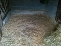 On dit d'une litière trop humide d'urine et de déjections qu'elle est en bateau.