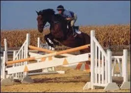 Voici un obstacle appelé « croisillon ».