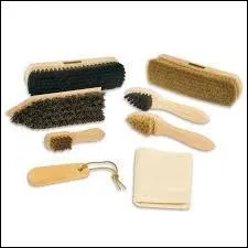 Le dernier outil utilisé lors du pansage est l'époussette.