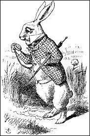 Dans quel célèbre roman retrouve-t-on un lapin blanc particulièrement obsédé par sa montre ?