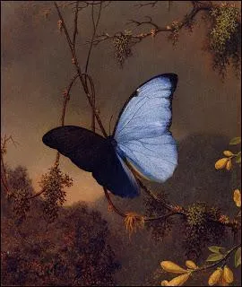 Qui a peint "Le Papillon bleu" ?