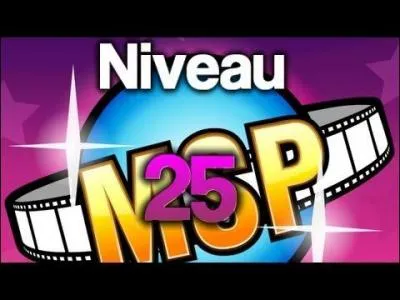 Combien y a-t-il de niveaux ?