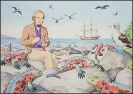 Science - Quel animal des Galapagos aurait inspiré la théorie de l'évolution à Charles Darwin ?
