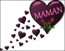 Complétez le titre de ce livre : "Le petit livre à offrir à sa maman à la place d'un(e) ... parce qu'elle vaut mieux que ça".