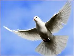 "La Paloma adieu" est un succès de la chanteuse...