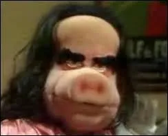 Dans l'émission satirique "Le Bébête show", quel était cet homme politique caricaturé sous la forme d'une cochonne ?