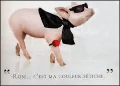 Citez-moi cette fameuse marque française de prêt-à-porter, fondée en 1973 et ayant utilisé ce cochon comme mascotte :