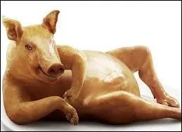 Comment nomme-t-on un cochon mâle reproducteur ?