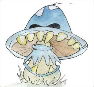 Comment se nomme cette cr&eacute;ature ?