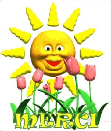 Bâton de berger terminé par une petite plaque de fer qui permettait de jeter des mottes de terre aux moutons qui s'écartaient :