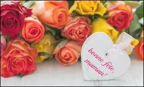 Aujourd'hui, je vais voir ma maman pour la fête des _____.