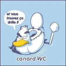 En quelle année est apparue la marque "Canard-WC" spécialisée dans les produits d'entretien pour les toilettes ?