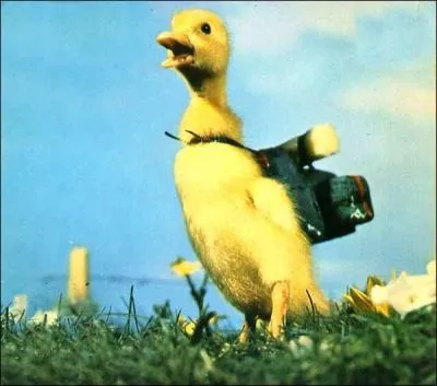 À partir de la photo, retrouver le nom de la série télévisée correspondante.