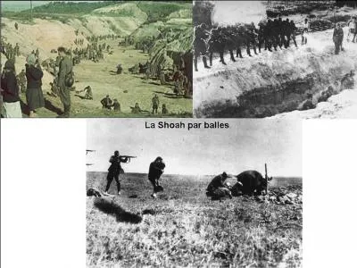 On sait que le nombre de victimes de la Shoah est estimé à 6 000 000. En simplifiant, il y a eu deux méthodes pour massacrer la population juive, les camps d'extermination et l'assassinat par fusillade (Shoah par balles).
A combien estime-t-on le nombre de morts par la Shoah par balles ?