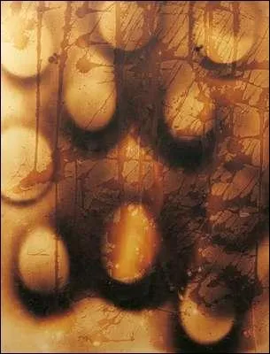 Qui a peint  Peinture feu 13  ?