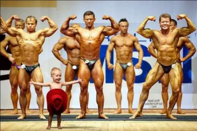 'Un homme fort ? Vous parlez musculature ? ' Indice, 'Bonjour tristesse'