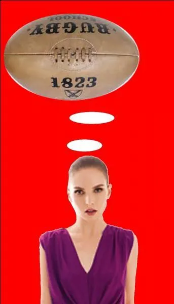 Quel trophée reçoit l'équipe championne de France de rugby ?