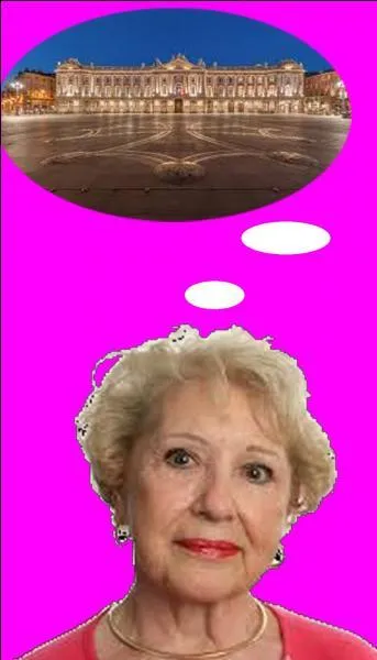 Quelle couleur qualifie habituellement la ville de Toulouse ?