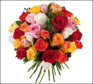 Comment doivent être les roses du bouquet que vous offrez, si vous voulez montrer votre tendresse à quelqu'un ?