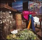 Où visite-t-on le musée de la Soie de Saint-Hippolyte-du-Fort, où on peut voir un élevage de vers à soie, ainsi que tout le matériel nécessaire et le tissage et tricotage avec les métiers ?