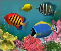 Comment s'appelle la science qui étudie les poissons ?