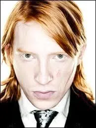 Qui joue Bill Weasley ?