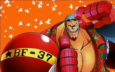 Cochez les bonnes informations sur ce personnage de "One Piece".