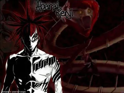 Cochez les bonnes informations sur ce personnage de "Bleach" !